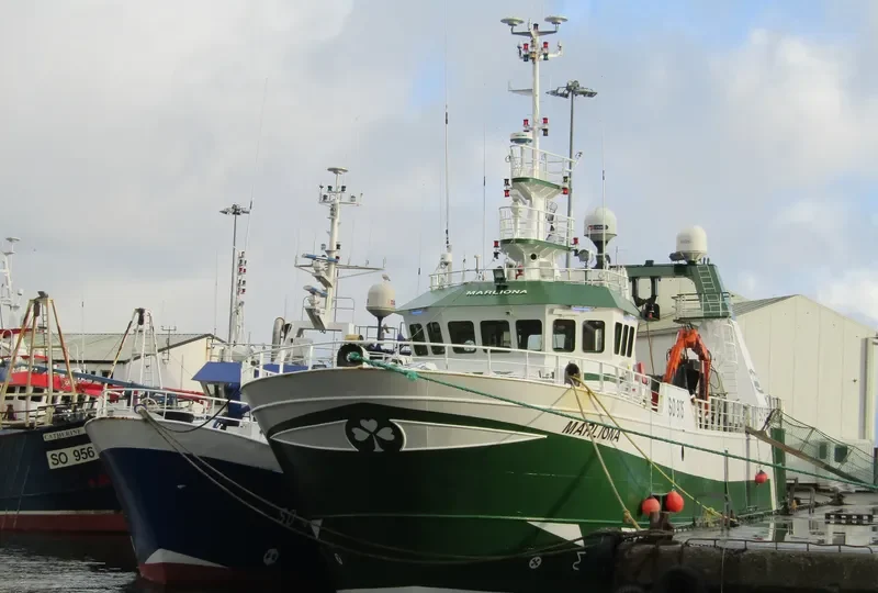 MARLIONA General Cargo IMO 9321342 photo 2