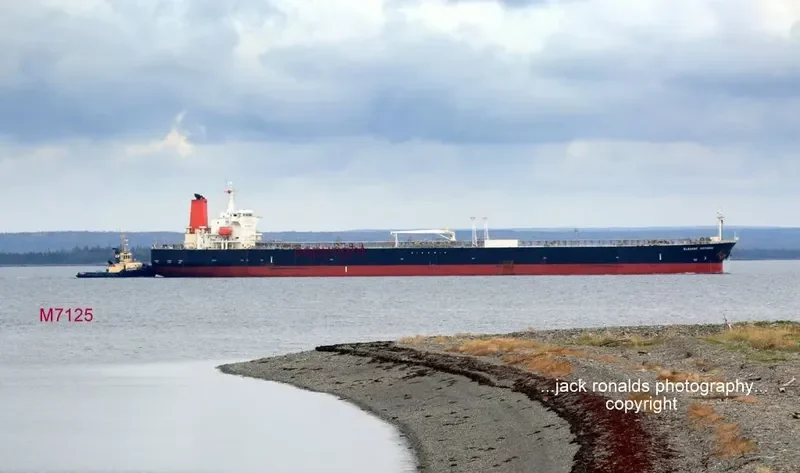 GOLDEN SHINER Tanker IMO 9321562 photo 4