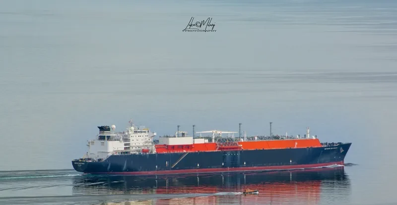 METHANE NILE EAGLE General Cargo IMO 9321770 photo 8