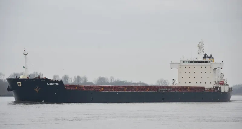 NAVIOS LIBERTAS Bulk Carrier IMO 9321914 photo 4