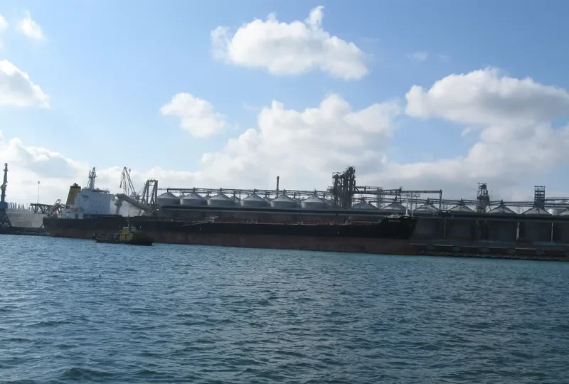 NAVIOS PROSPERITY I Bulk Carrier IMO 9321926 photo 2