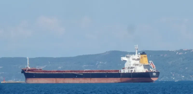 NAVIOS PROSPERITY I Bulk Carrier IMO 9321926 photo 3