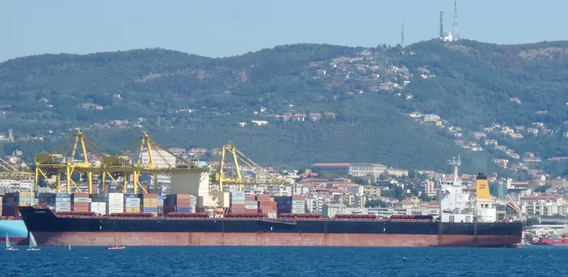 NAVIOS PROSPERITY I Bulk Carrier IMO 9321926 photo 4