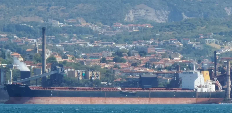 NAVIOS PROSPERITY I Bulk Carrier IMO 9321926 photo 5