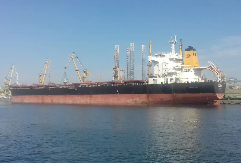 NAVIOS PROSPERITY I Bulk Carrier IMO 9321926 photo 6