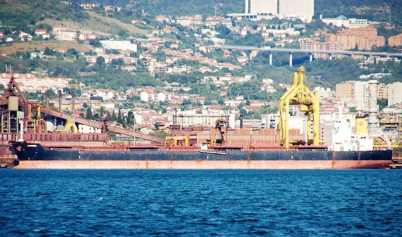NAVIOS PROSPERITY I Bulk Carrier IMO 9321926 photo 7