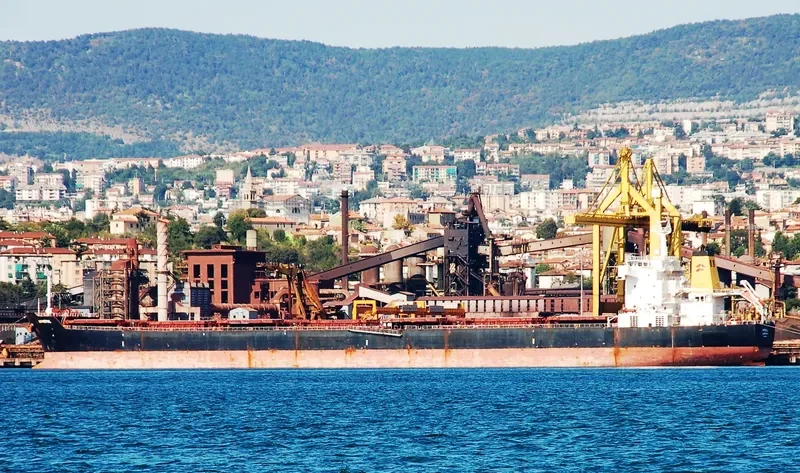 NAVIOS PROSPERITY I Bulk Carrier IMO 9321926 photo 8