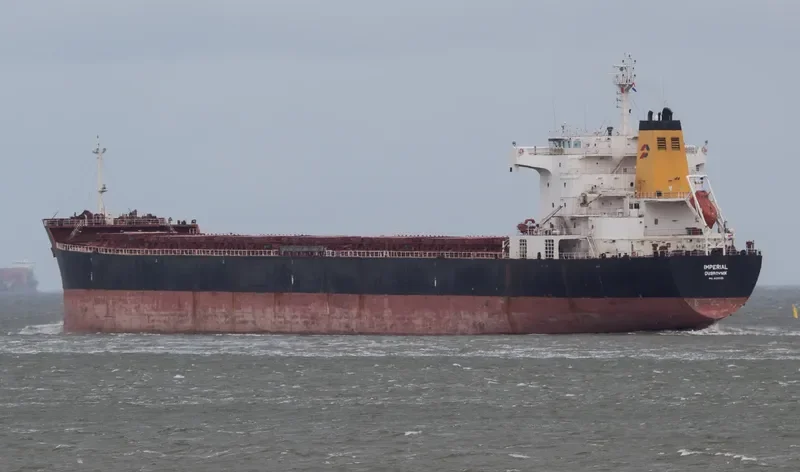 NAVIOS PROSPERITY I Bulk Carrier IMO 9321926 photo 10