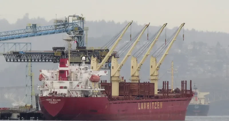 FENG SHUN Bulk Carrier IMO 9322736 photo 6