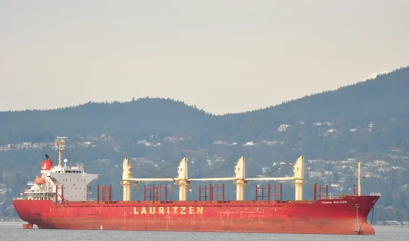 FENG SHUN Bulk Carrier IMO 9322736 photo 8