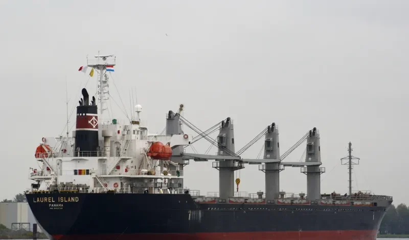 MED ISLAND Bulk Carrier IMO 9322748 photo 2