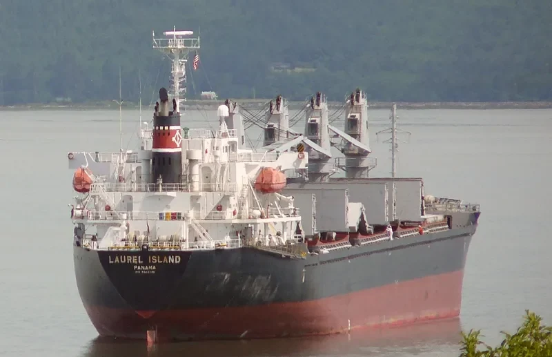 MED ISLAND Bulk Carrier IMO 9322748 photo 4