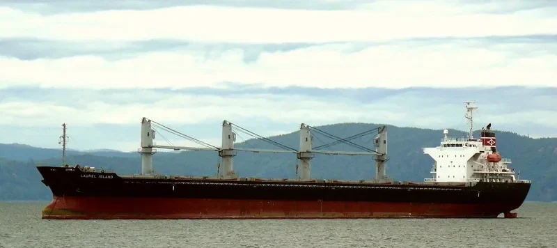 MED ISLAND Bulk Carrier IMO 9322748 photo 5