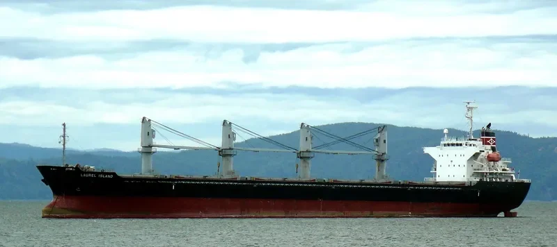 MED ISLAND Bulk Carrier IMO 9322748 photo 6