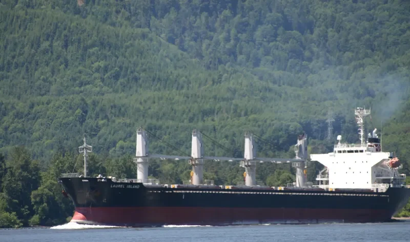 MED ISLAND Bulk Carrier IMO 9322748 photo 8