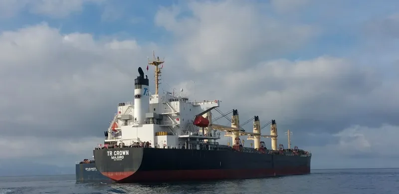 TR CROWN Bulk Carrier IMO 9322762