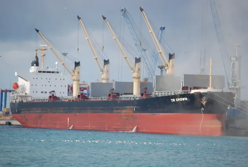TR CROWN Bulk Carrier IMO 9322762 photo 2