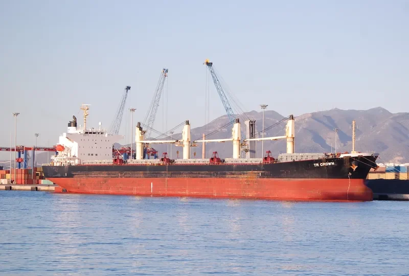 TR CROWN Bulk Carrier IMO 9322762 photo 3