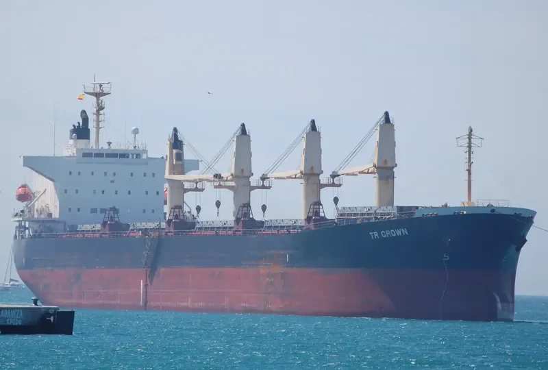 TR CROWN Bulk Carrier IMO 9322762 photo 5