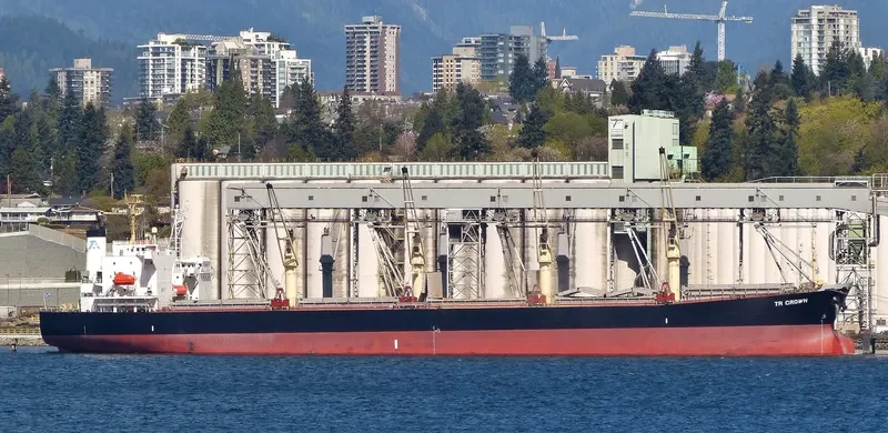 TR CROWN Bulk Carrier IMO 9322762 photo 7