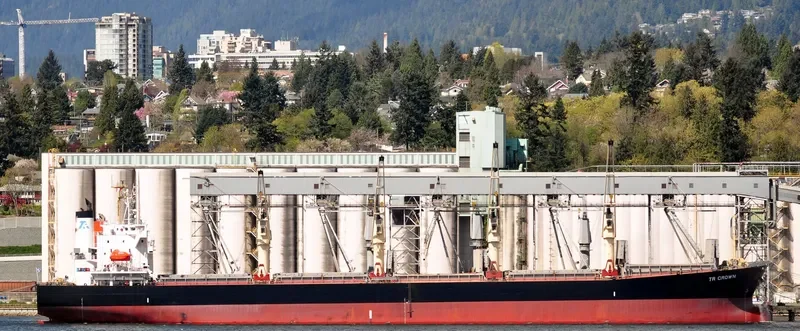 TR CROWN Bulk Carrier IMO 9322762 photo 8