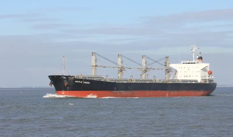 TR CROWN Bulk Carrier IMO 9322762 photo 9