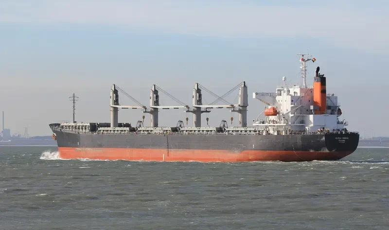 TR CROWN Bulk Carrier IMO 9322762 photo 10