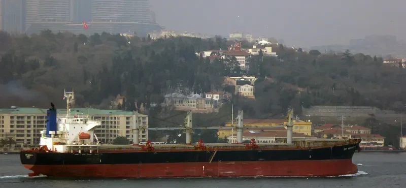 SPARROW Bulk Carrier IMO 9322774 photo 2