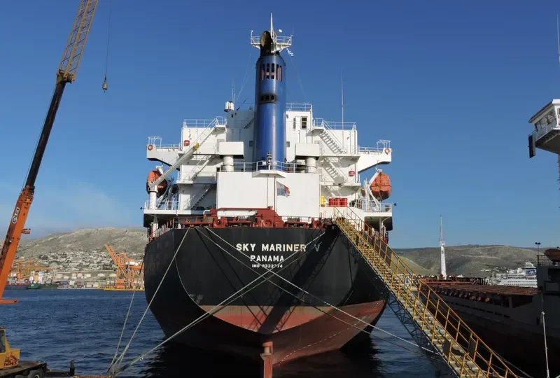 SPARROW Bulk Carrier IMO 9322774 photo 5