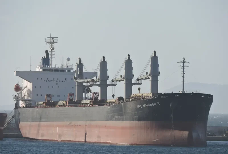 SPARROW Bulk Carrier IMO 9322774 photo 7