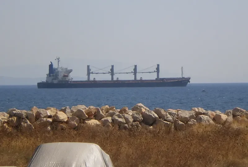 SPARROW Bulk Carrier IMO 9322774 photo 9