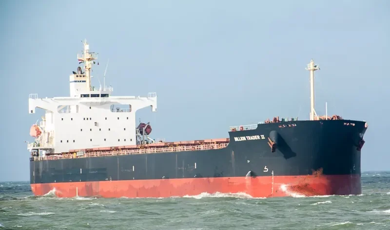 AEOLIAN LIGHT Bulk Carrier IMO 9323053 photo 4