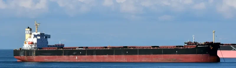 PEDHOULAS LEADER Bulk Carrier IMO 9323065 photo 3