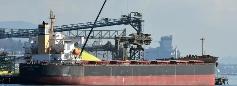 PEDHOULAS LEADER Bulk Carrier IMO 9323065 photo 5