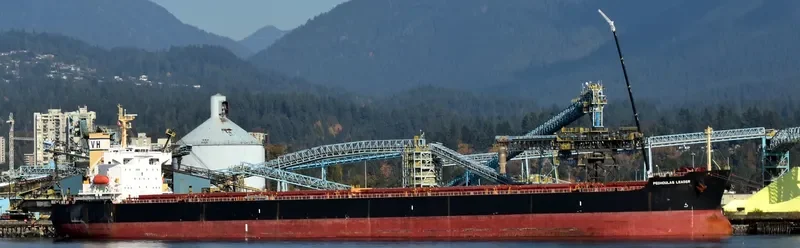 PEDHOULAS LEADER Bulk Carrier IMO 9323065 photo 6