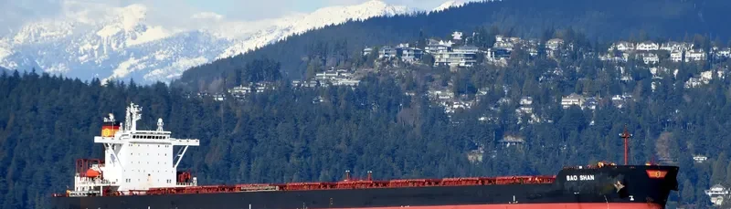 BAO SHAN Bulk Carrier IMO 9323455 photo 4