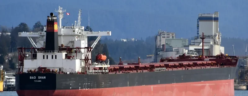 BAO SHAN Bulk Carrier IMO 9323455 photo 7