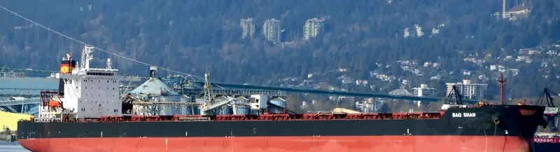 BAO SHAN Bulk Carrier IMO 9323455 photo 8