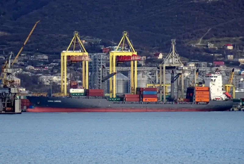 HANSA LIMBURG Container Ship IMO 9323481