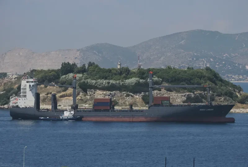 HANSA LIMBURG Container Ship IMO 9323481 photo 4