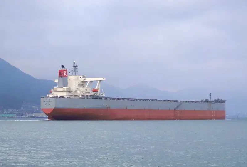 TOYOKUNI Bulk Carrier IMO 9323572 photo 4
