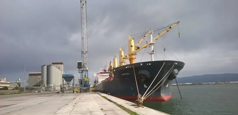 HORIZON Bulk Carrier IMO 9323637 photo 6