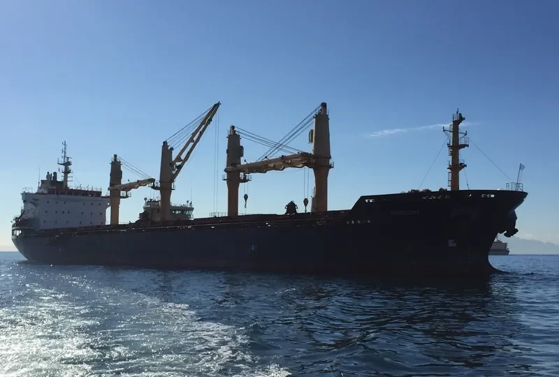 HORIZON Bulk Carrier IMO 9323637 photo 7