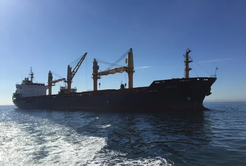 HORIZON Bulk Carrier IMO 9323637 photo 8