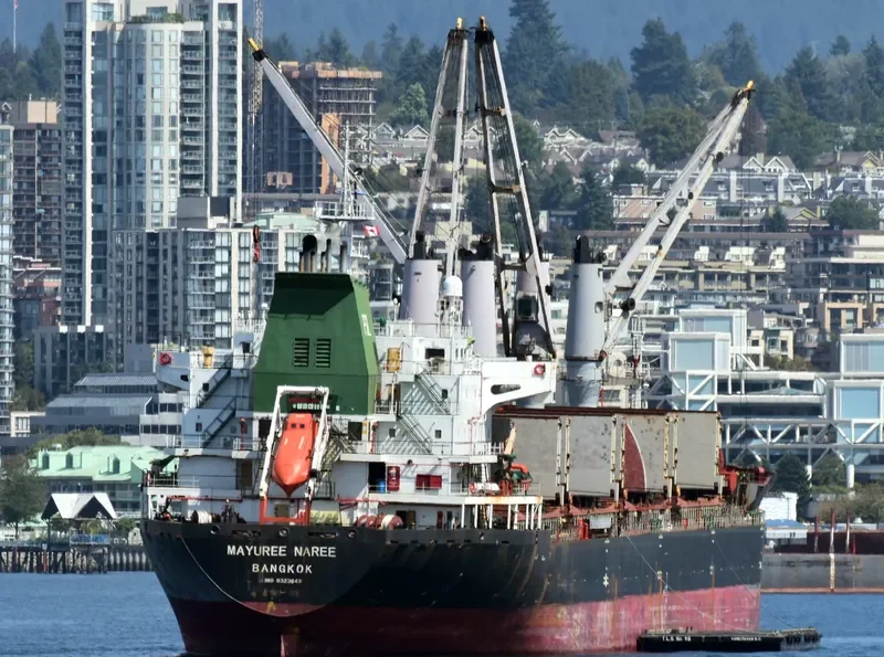 MAYUREE NAREE Bulk Carrier IMO 9323649 photo 3