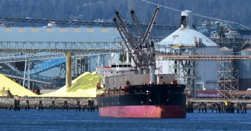 MAYUREE NAREE Bulk Carrier IMO 9323649 photo 5