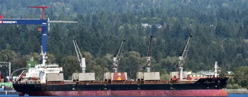 MAYUREE NAREE Bulk Carrier IMO 9323649 photo 6