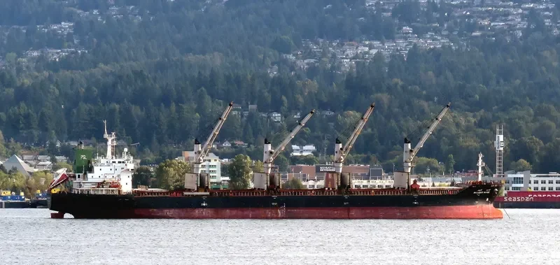 MAYUREE NAREE Bulk Carrier IMO 9323649 photo 8
