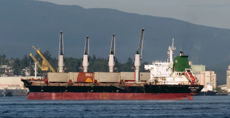MAYUREE NAREE Bulk Carrier IMO 9323649 photo 9