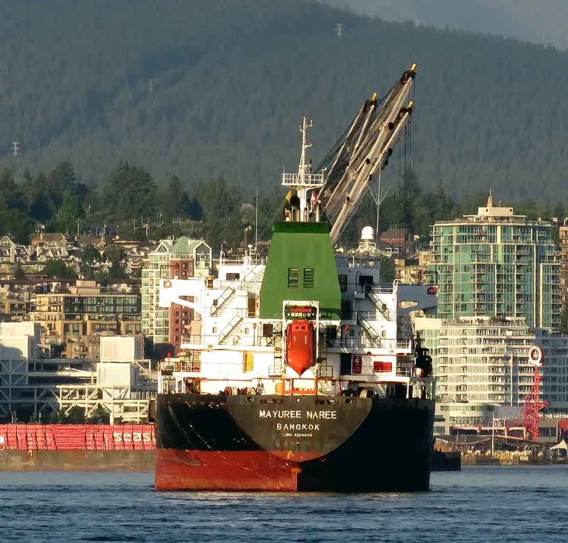 MAYUREE NAREE Bulk Carrier IMO 9323649 photo 10